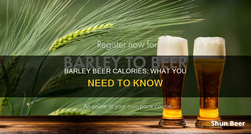 how many calories in barley beer