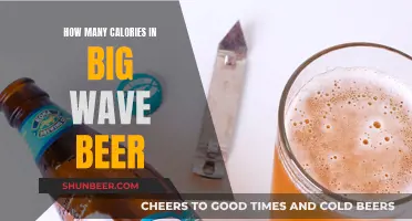 Big Wave Beer Calories: How Many in Each Can?