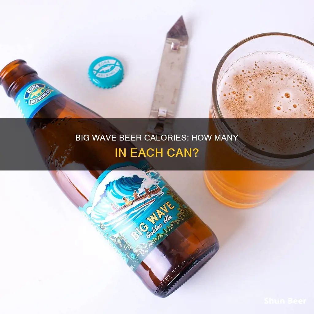 how many calories in big wave beer