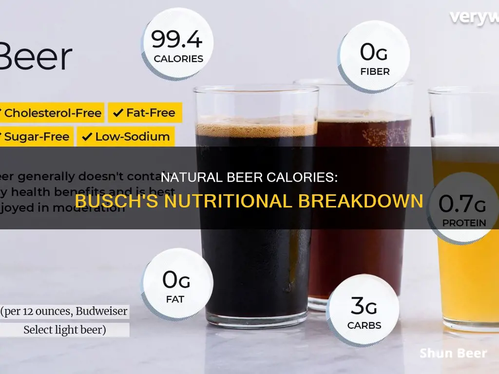 how many calories in busch natural beer