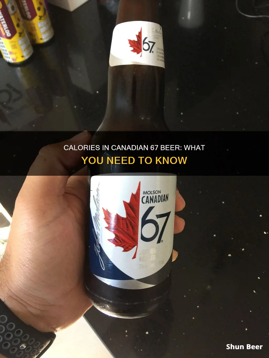 how many calories in canadian 67 beer