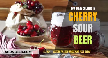 Cherry Sour Beer: Calorie Count for the Sweet and Tangy Treat