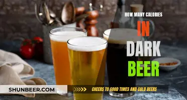 Dark Beer Calories: What's the Count?