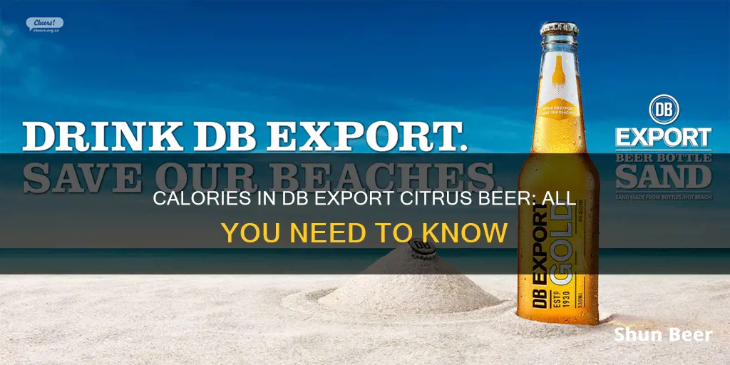 how many calories in db export citrus beer