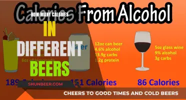 Calories in Beer: How Different Beers Stack Up