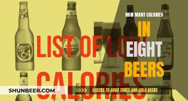 Calories in Beers: Understanding the Count