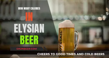 Calories in Elysian Beer: A Comprehensive Breakdown