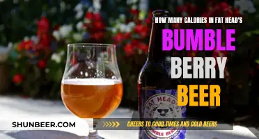 Calories in Fat Head's Bumble Berry Beer: Nutritional Breakdown