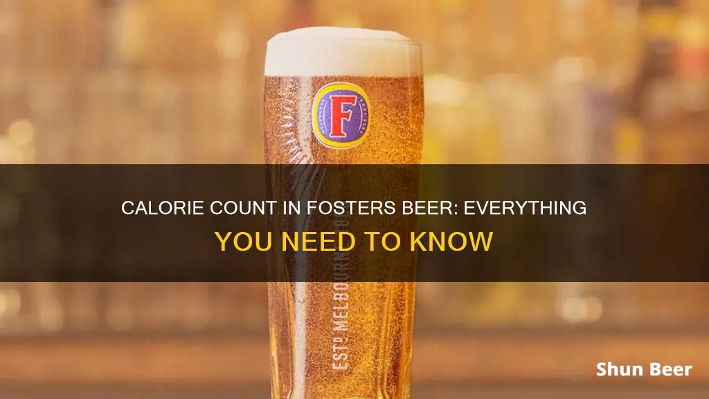 how many calories in fosters beer