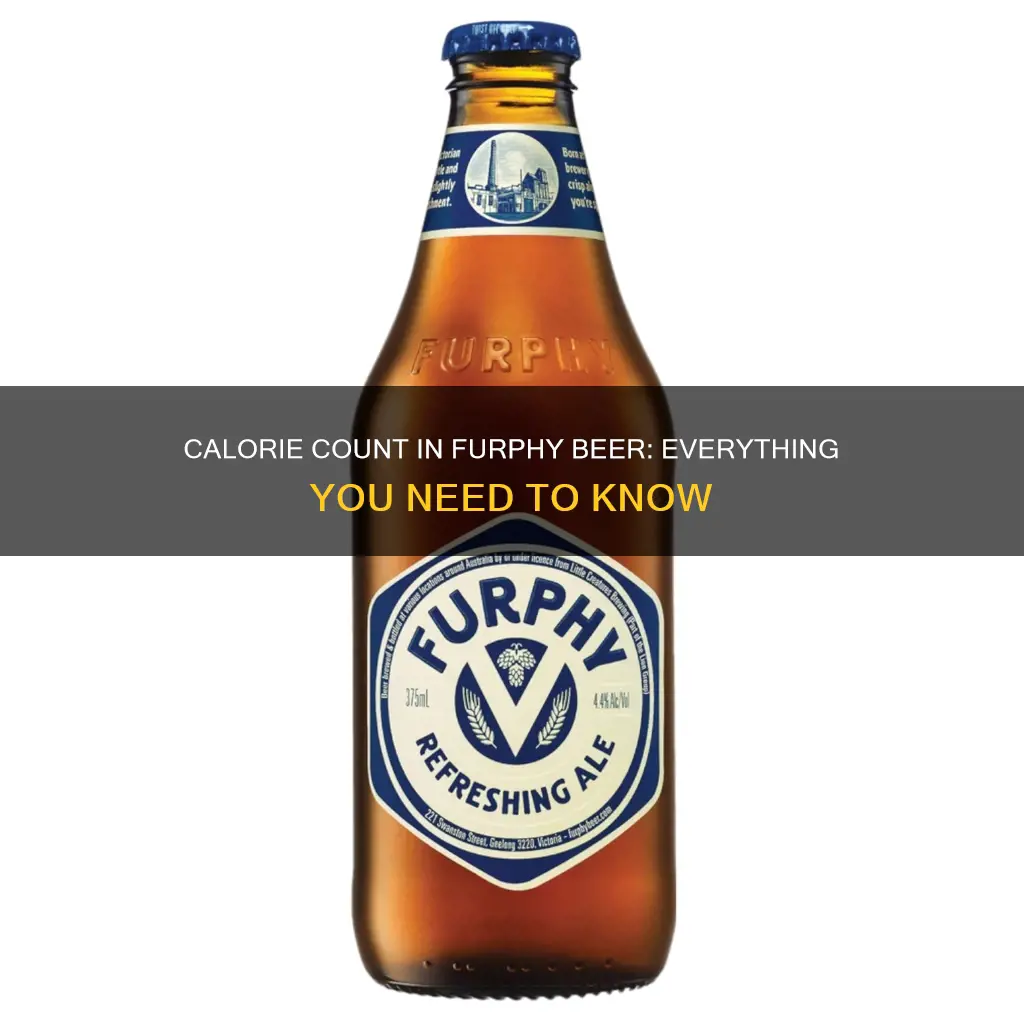 how many calories in furphy beer