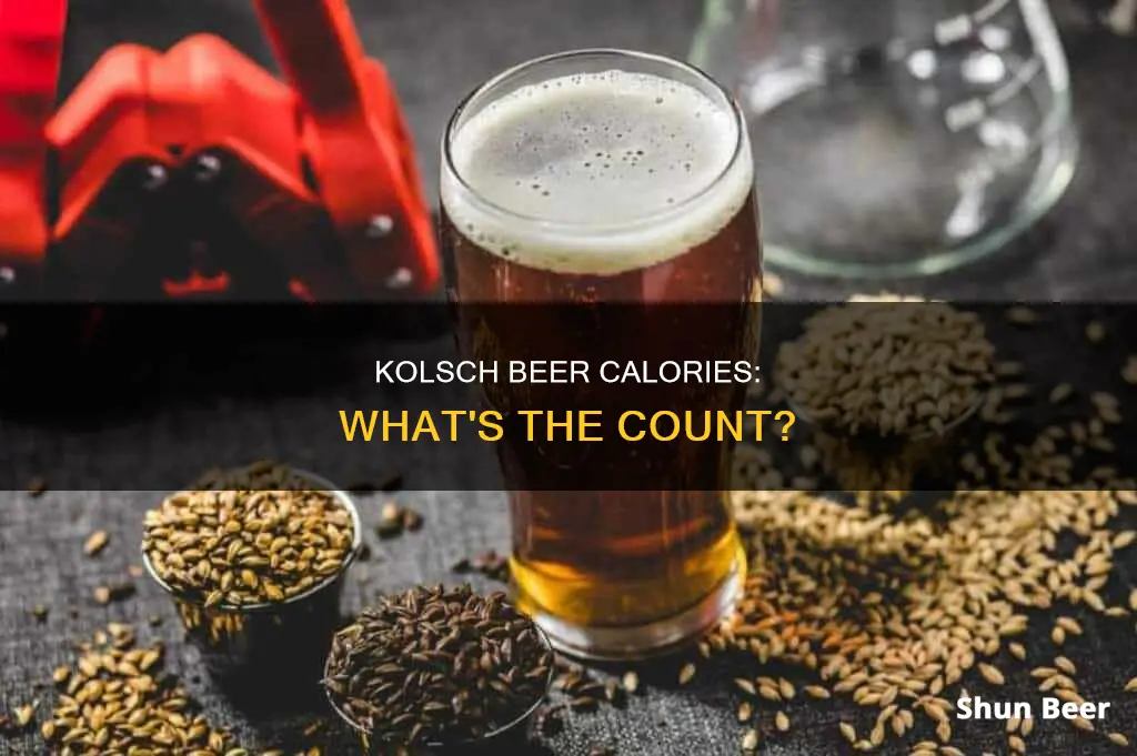 how many calories in kolsch beer