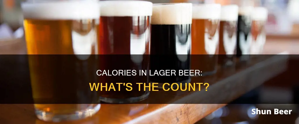 how many calories in lager beer