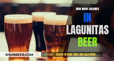 Calories in Lagunitas Beer: What You Need to Know