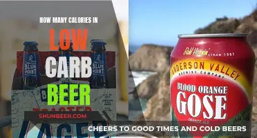 Low-Carb Beer: Calorie Count and Health Benefits