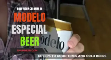 Calorie Count in Modelo Especial Beer Revealed