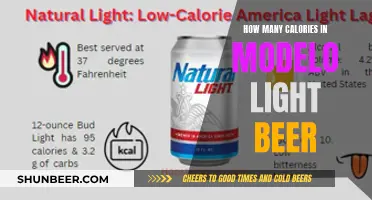 Light Beer Calories: Modelo's Nutritional Breakdown