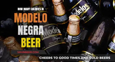 Calorie Count in Modelo Negra Beer Explained