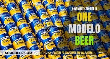 Calorie Count of Modelo Beer: Nutritional Facts