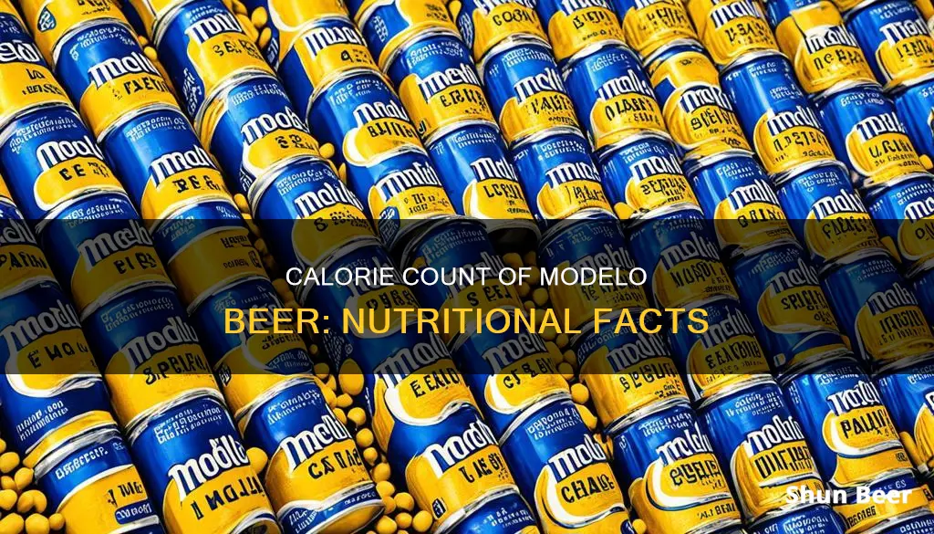 how many calories in one modelo beer