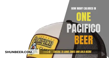 Calories in Pacifico Beer: How Much is Too Much?