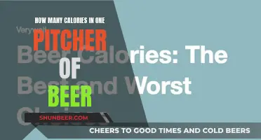 Calories in Beer: Understanding the Pitcher's Worth