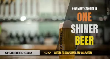 Shiner Beer Calories: How Many in One Serving?