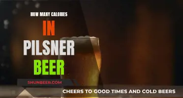 Calorie Counting: Pilsner Beer's Surprising Energy Value