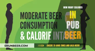 Calories in Pub Beer: What's the Count?