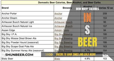 Calories in Beer: What's the Count?