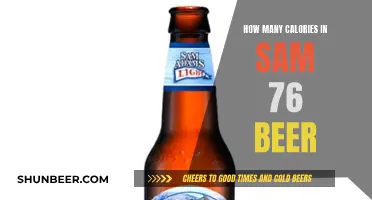 Calorie Count of Sam '76 Beer: Is It Worth It?