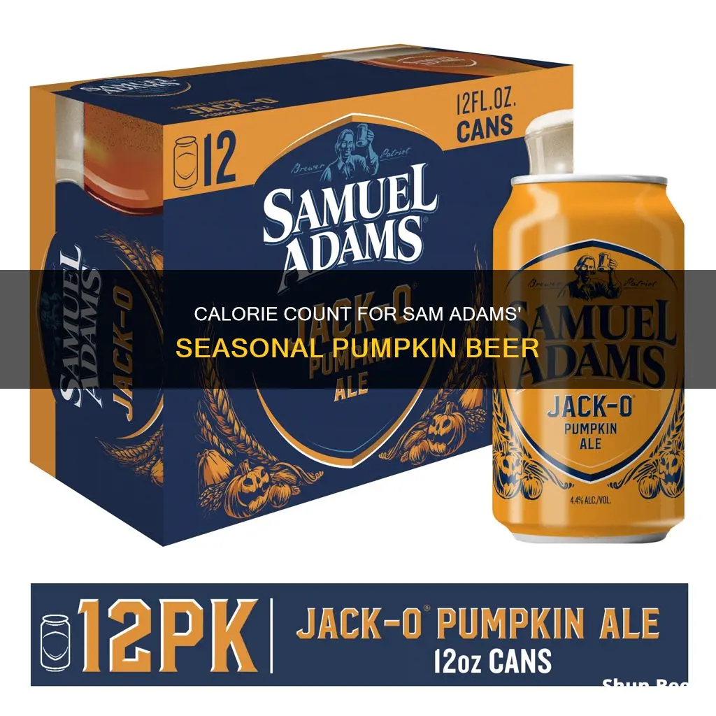 how many calories in sam adams pumpkin beer