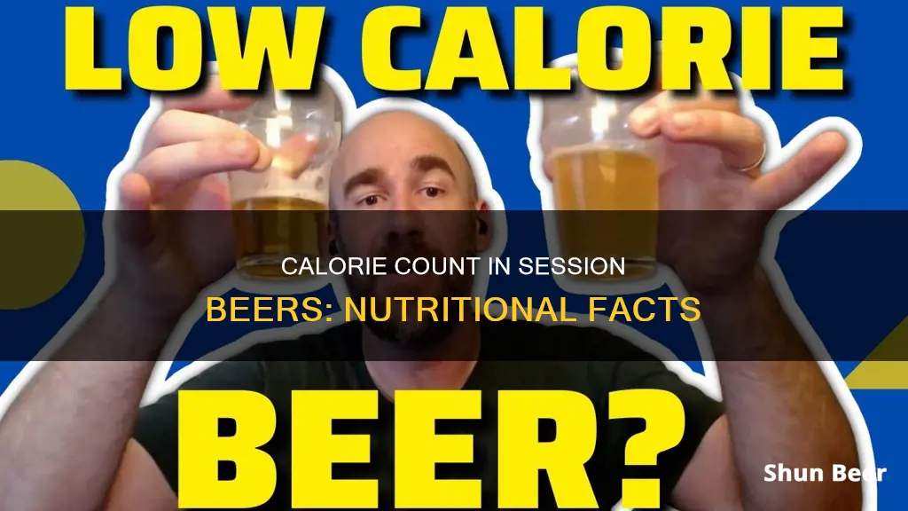 how many calories in session beer