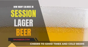 Calories in Session Lager Beer: Nutritional Facts