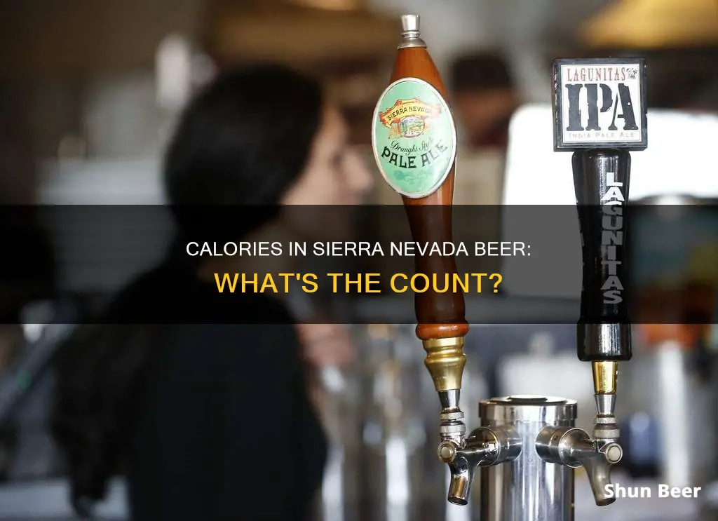 how many calories in sierra nevada beer