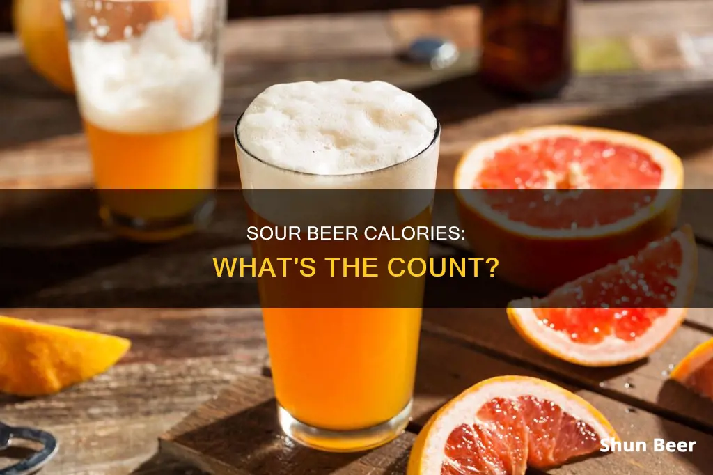 how many calories in sour beer