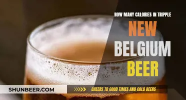 Calories in Triple Beer: New Belgium's Nutritional Breakdown