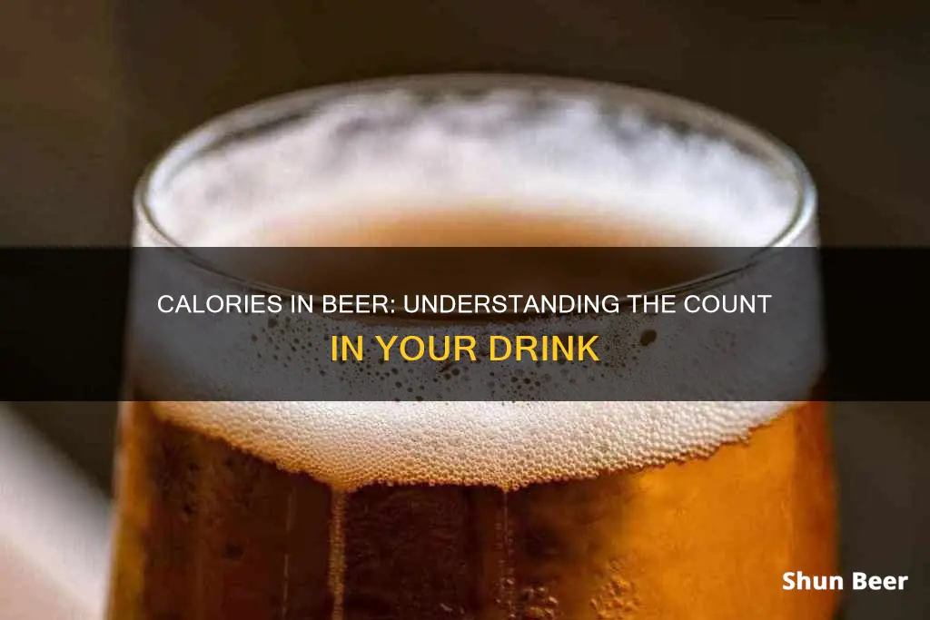 how many calories in two beers