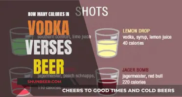 Calorie Comparison: Vodka and Beer's Caloric Content