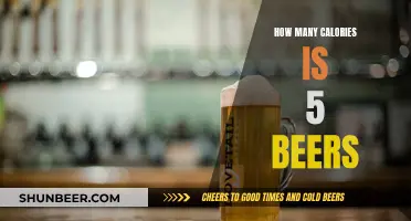 Calories in Beer: 5 Beers, How Many Calories?