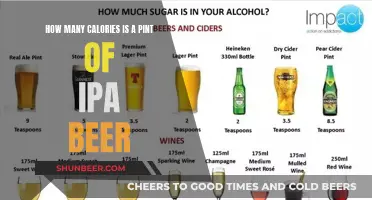 Calorie Counting: IPA Beer Pints and Health