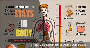 Uncover the Secrets: How Long Does Beer Stay in Your System?