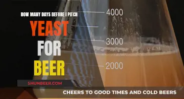 Brewing Timeline: When to Pitch Yeast for Beer Fermentation