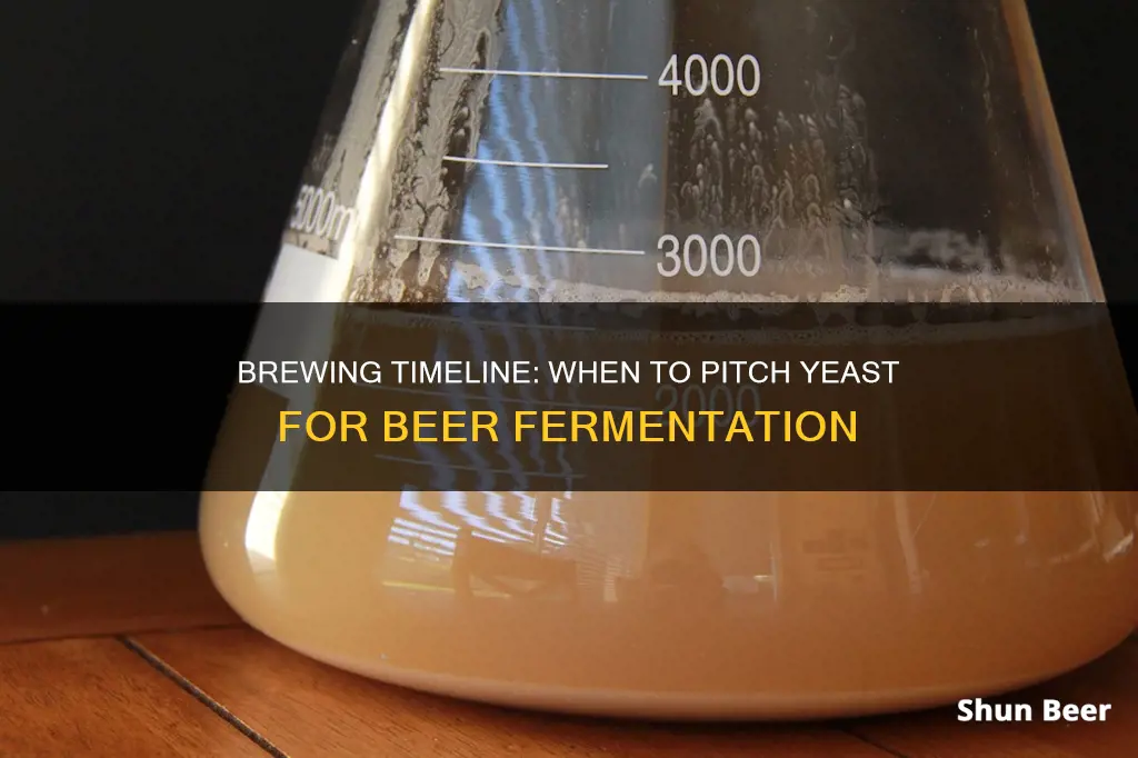 how many days before i pitch yeast for beer