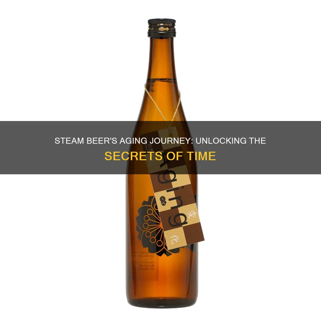 how many days does steam beer age