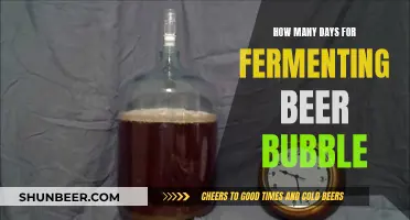 Uncorking the Magic: Exploring Beer Fermentation Times