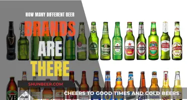 Exploring the Vast World of Beer: A Guide to Brands