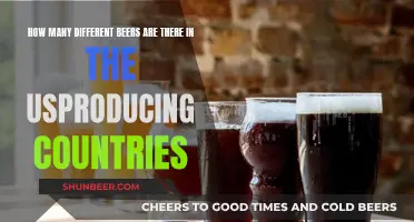 Exploring the Diverse US Beer Scene