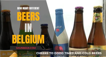 Exploring Belgium's Diverse Beer Culture: A Tasty Overview