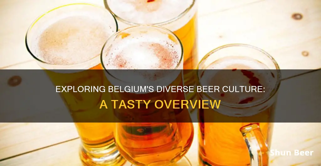 how many different beers in belgium