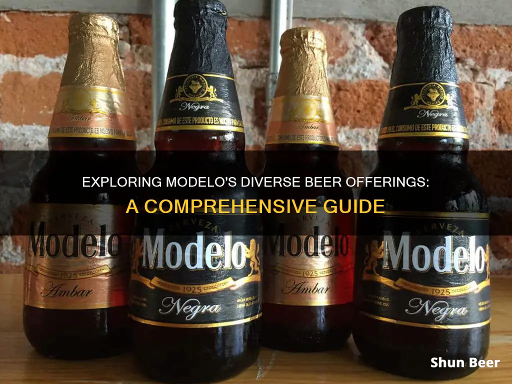 Exploring Modelo's Diverse Beer Offerings: A Comprehensive Guide | ShunBeer